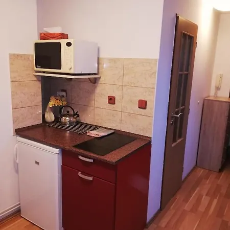 Πανσιόν U Lasanu Třešť