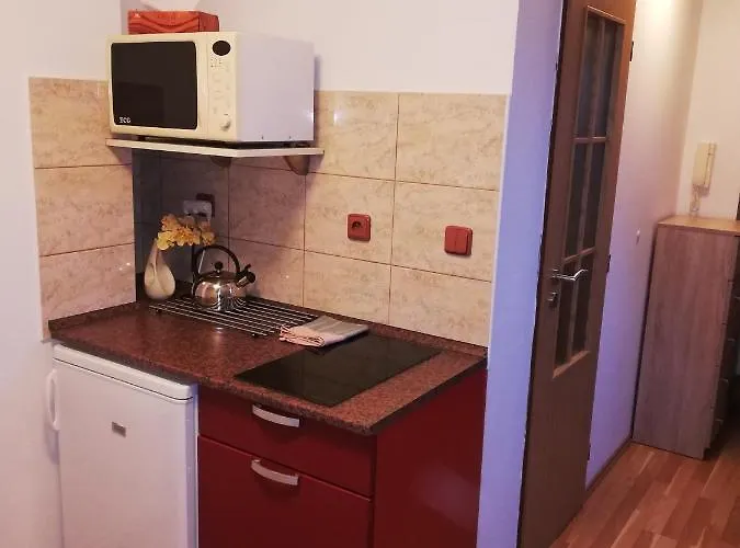 بيت ضيافة U Lasanu Třešť